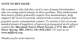 Back of Card for Native Plants